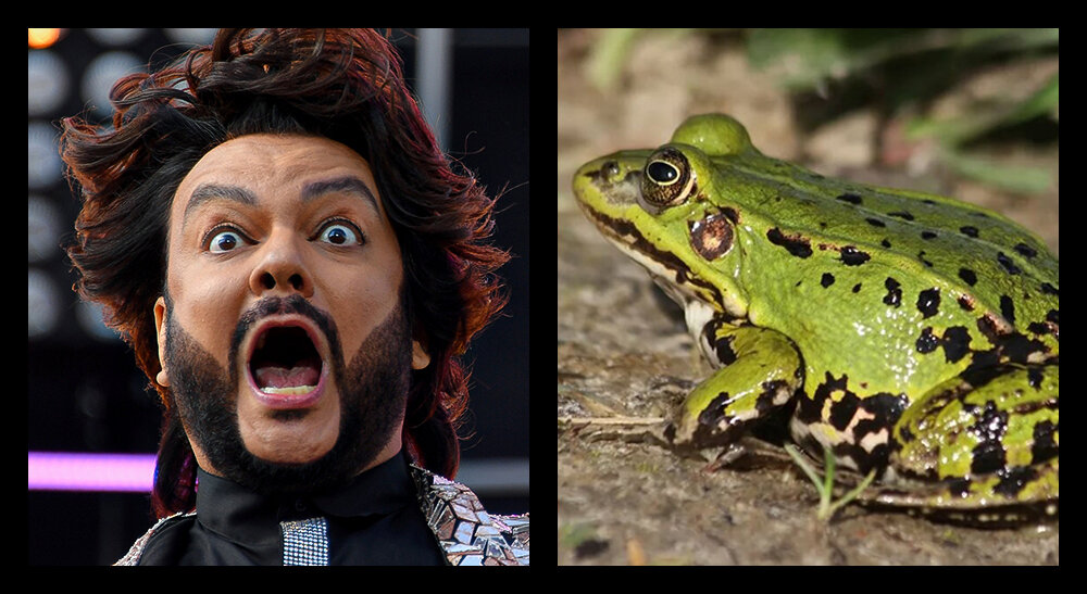 Коллаж фоток из открытых источников.