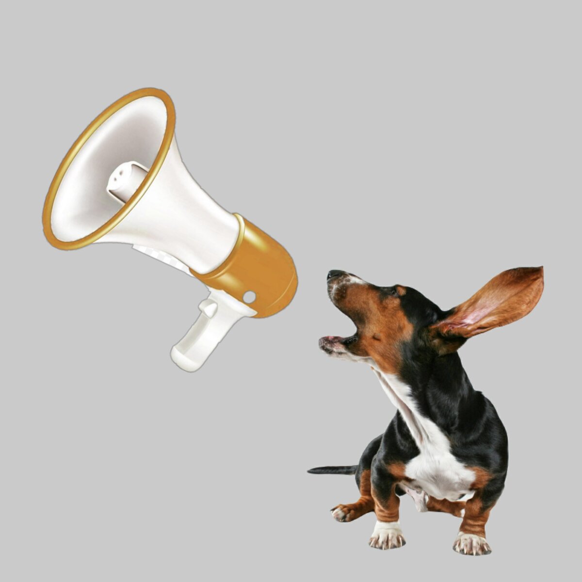 шумоизоляция квартиры