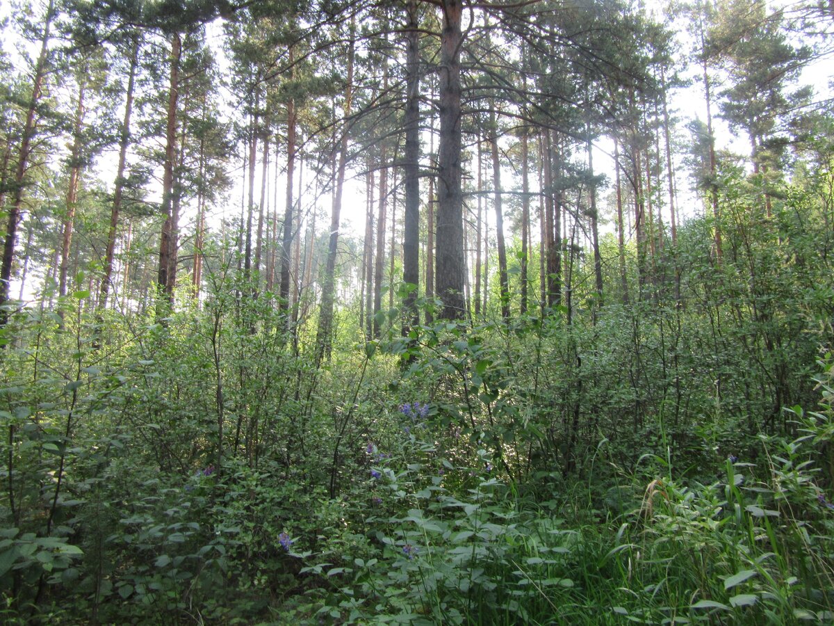 Автор фото - Евгений Читинский