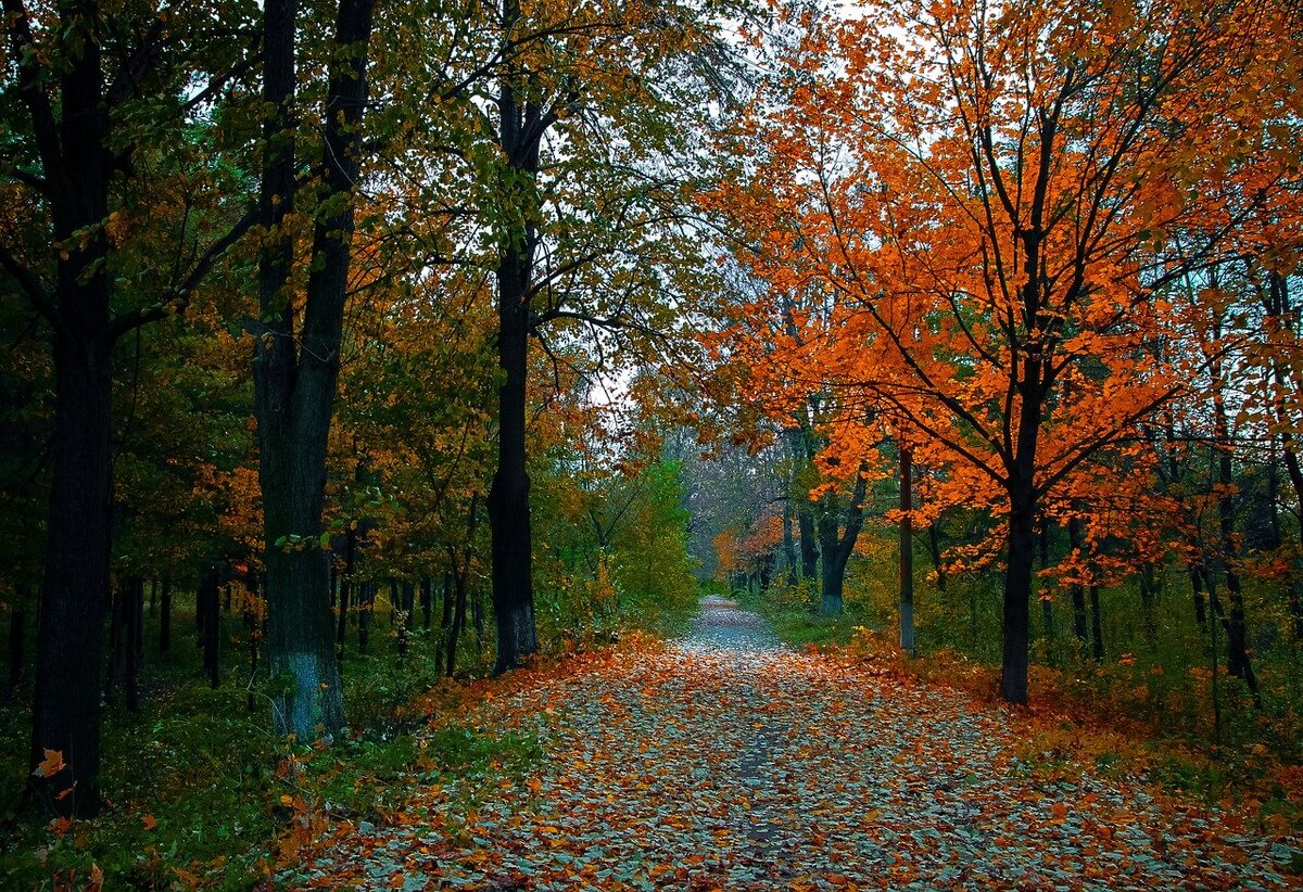 Фото Pixabay.com