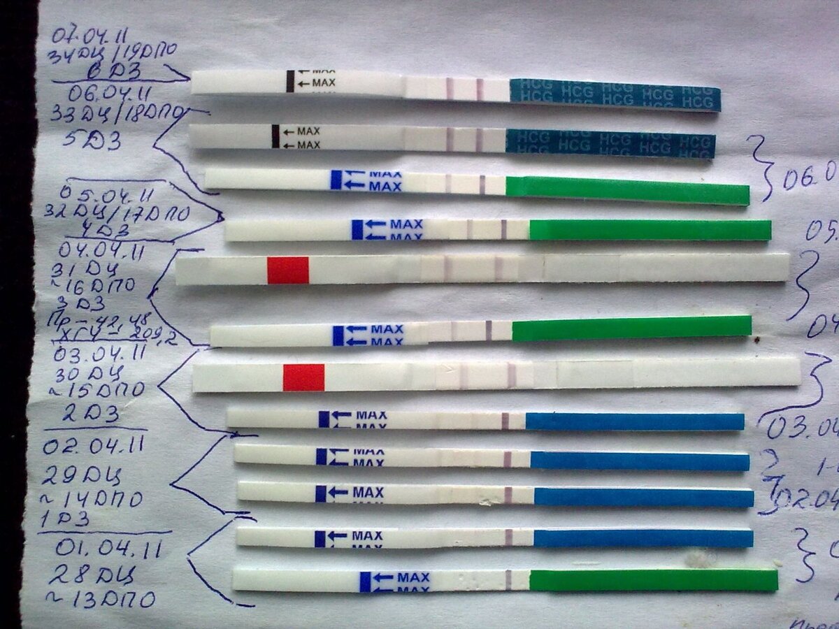 Долгожданная ВТОРАЯ полоска