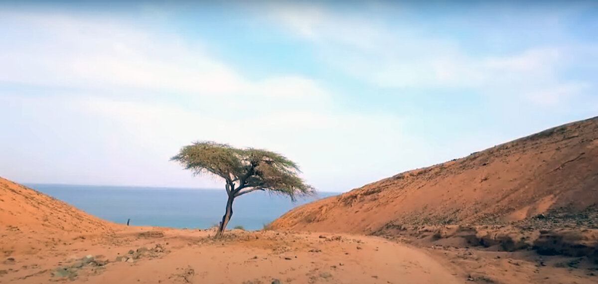 Вот так выглядит типичный египетский пейзаж. Дахаб. Фото моё.