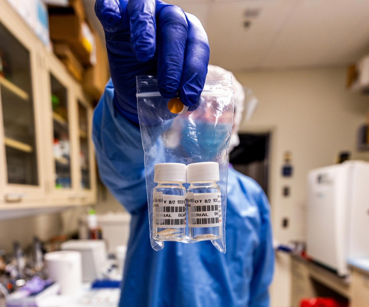 изображение взять с открытых источников в интернете