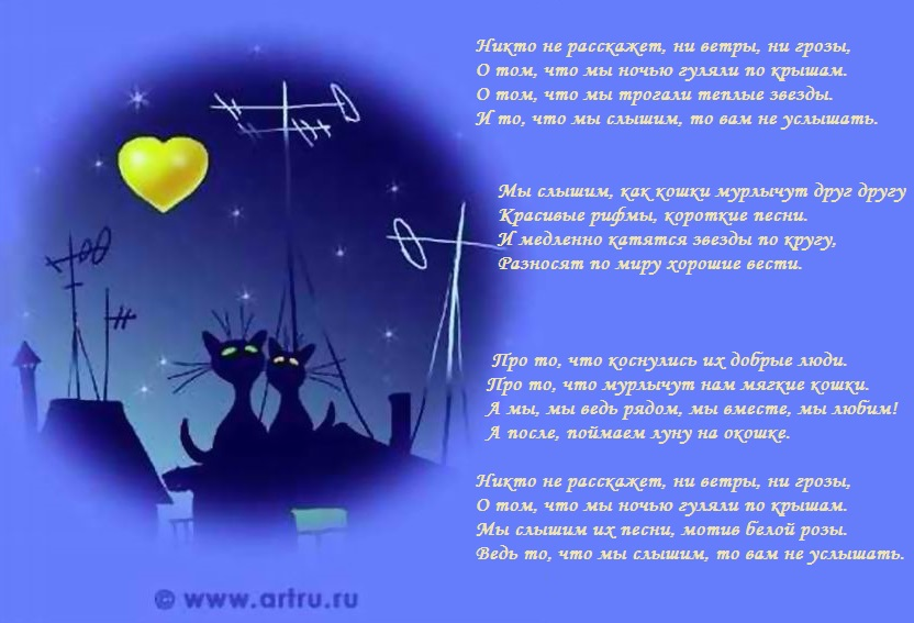 День песен на крыше картинки. Кот на крыше рисунок. Питерские коты на крыше. День песен на крыше картинки. День песен на крыше.
