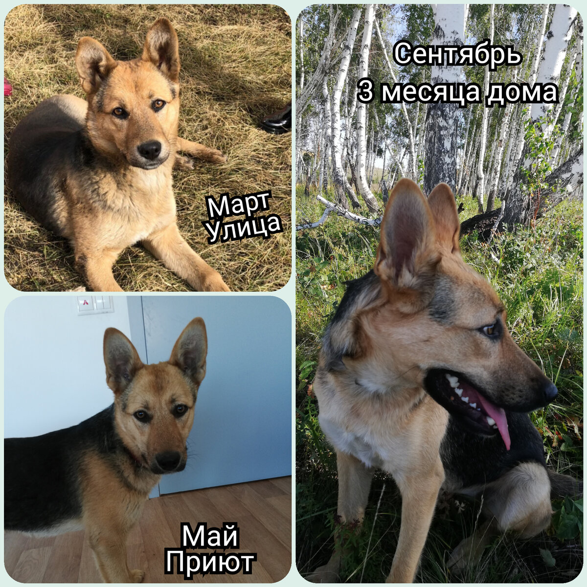 Как вам такие изменения?!