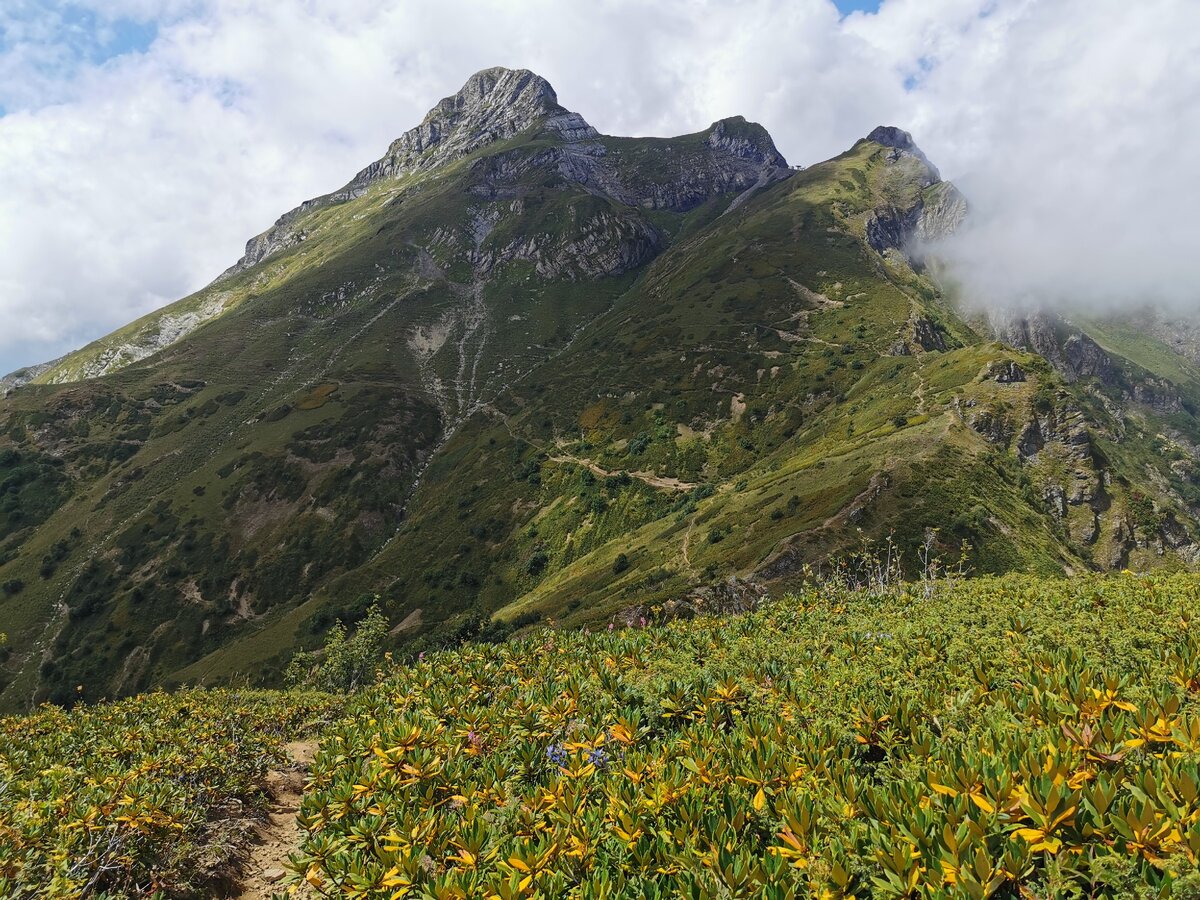 красная гора сочи