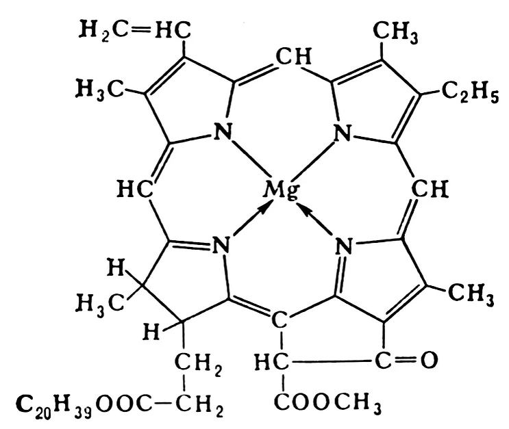 Хлорофилл формула соединения. Хлорофилл а. Хлорофилл а. Хлорофилл а. Хлорофилл а и хлорофилл б.