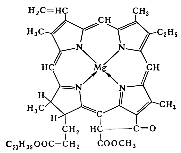 Хлорофилл а. Структура хлорофилла. Молекула хлорофилла формула. Хлорофилл структурная формула. Формула строения хлорофилла.