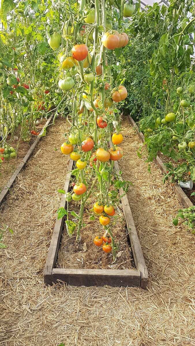 Листайте вправо, там еще фото.
