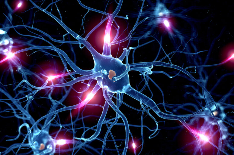 Взято из открытых источников