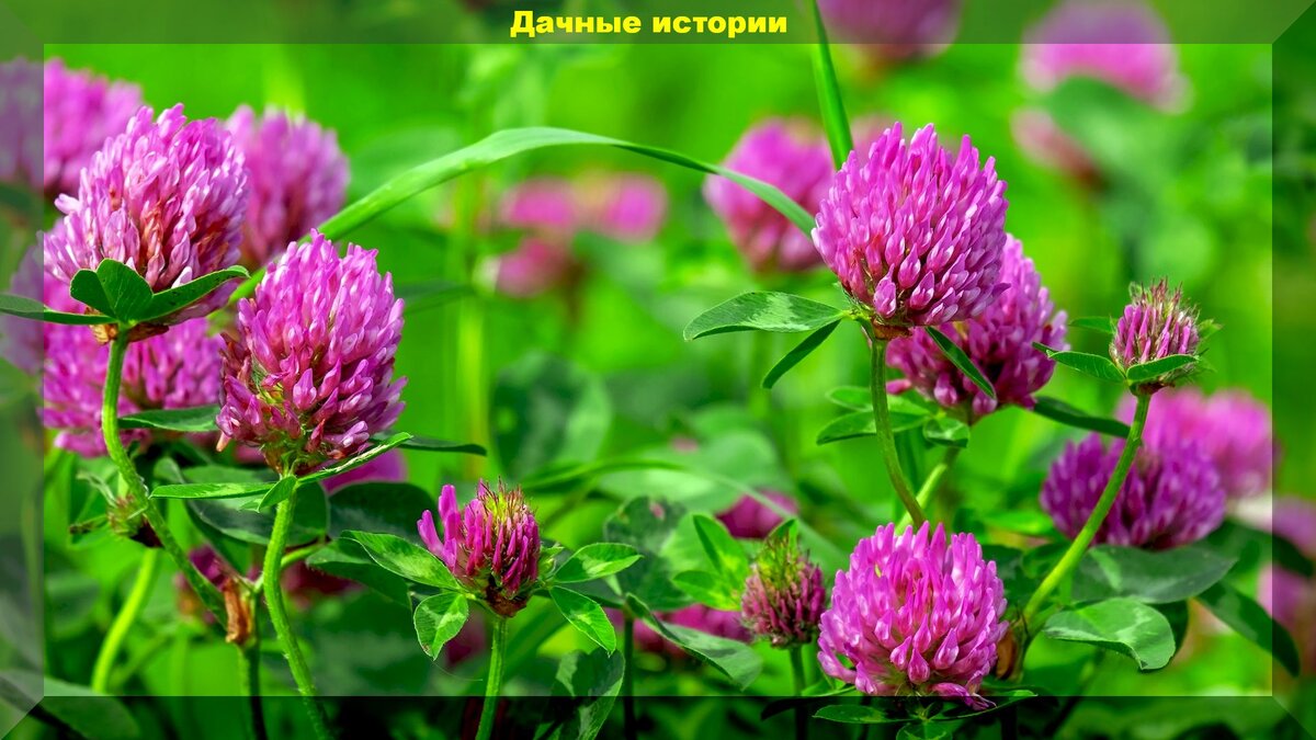 https://vk.com/photo-159774511_457244373
