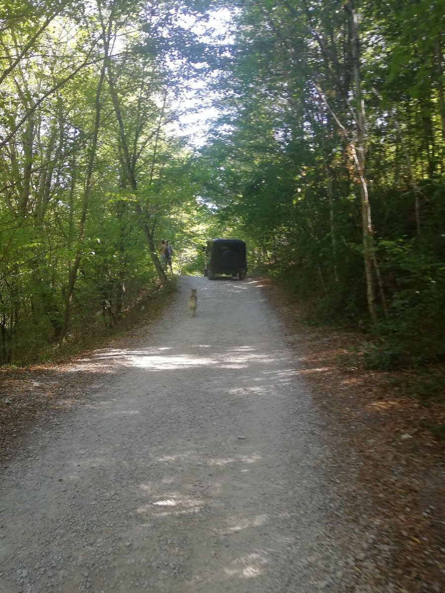 Есть возможность не идти пешком, а сразу от входа доехать до водопадов на УАЗике