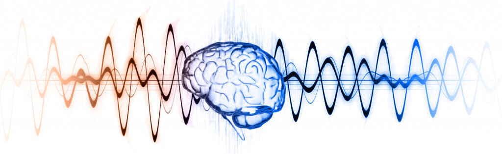 ритмы головного мозга