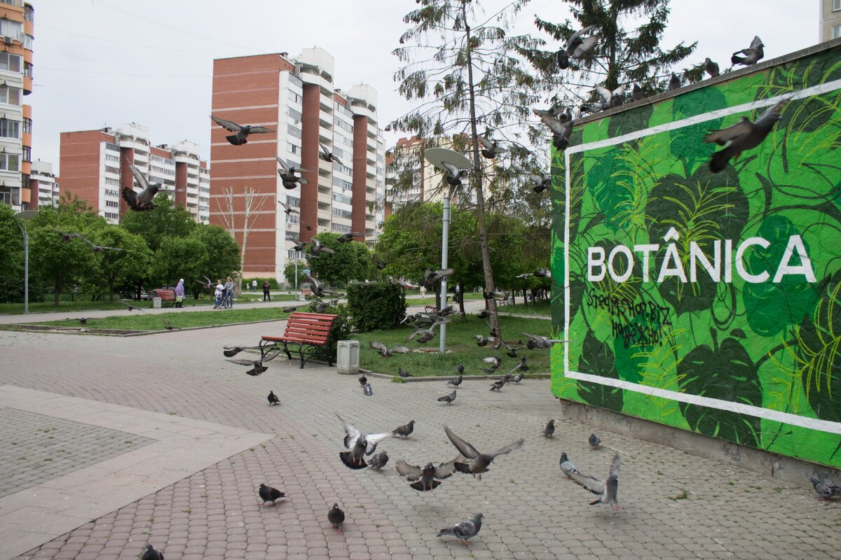 Ботанический микрорайон, Бульвар Малахова