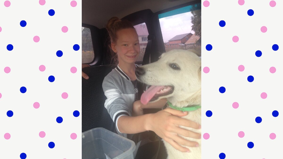 Подпишитесь на канал и поставьте лайк! Вы поможете развитию канала! Заранее благодарю!