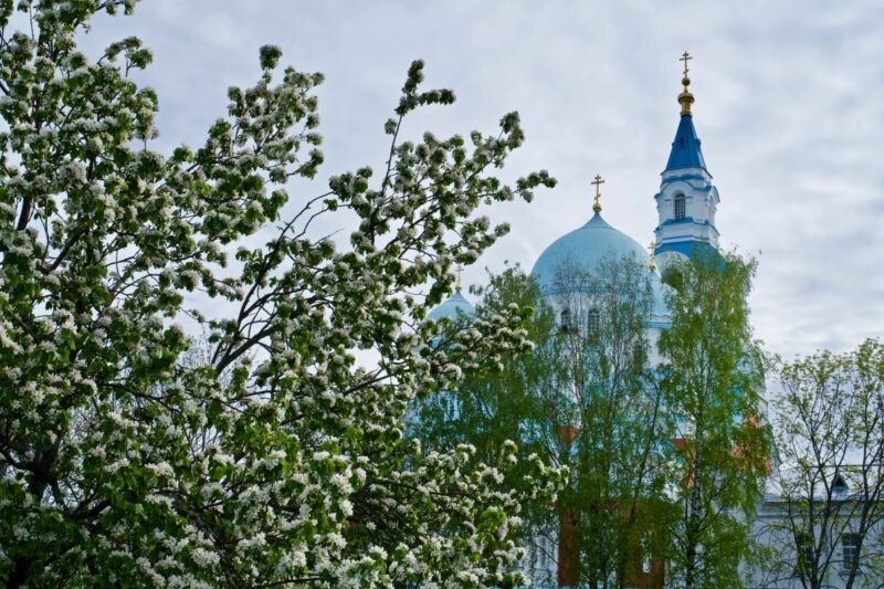 Умеренное обрезание