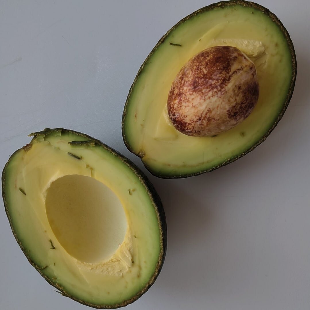 Авокадо в разрезе