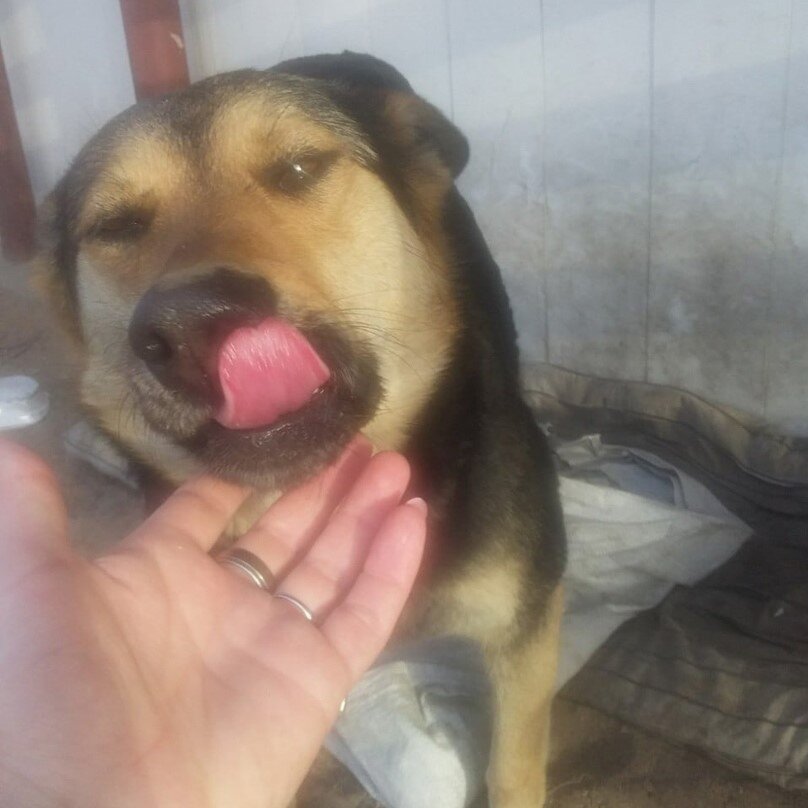 Чапа