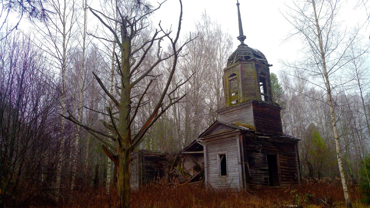 Заброшенная деревянная церковь 1903г в лесу. Нижегородская область. Ковернинский район.
