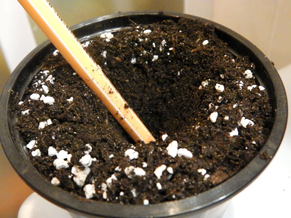 Поворачиваю карандаш и делаю конусообразное углубление. Фото автора 