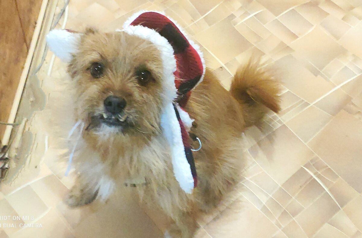 Я даже утеплился!