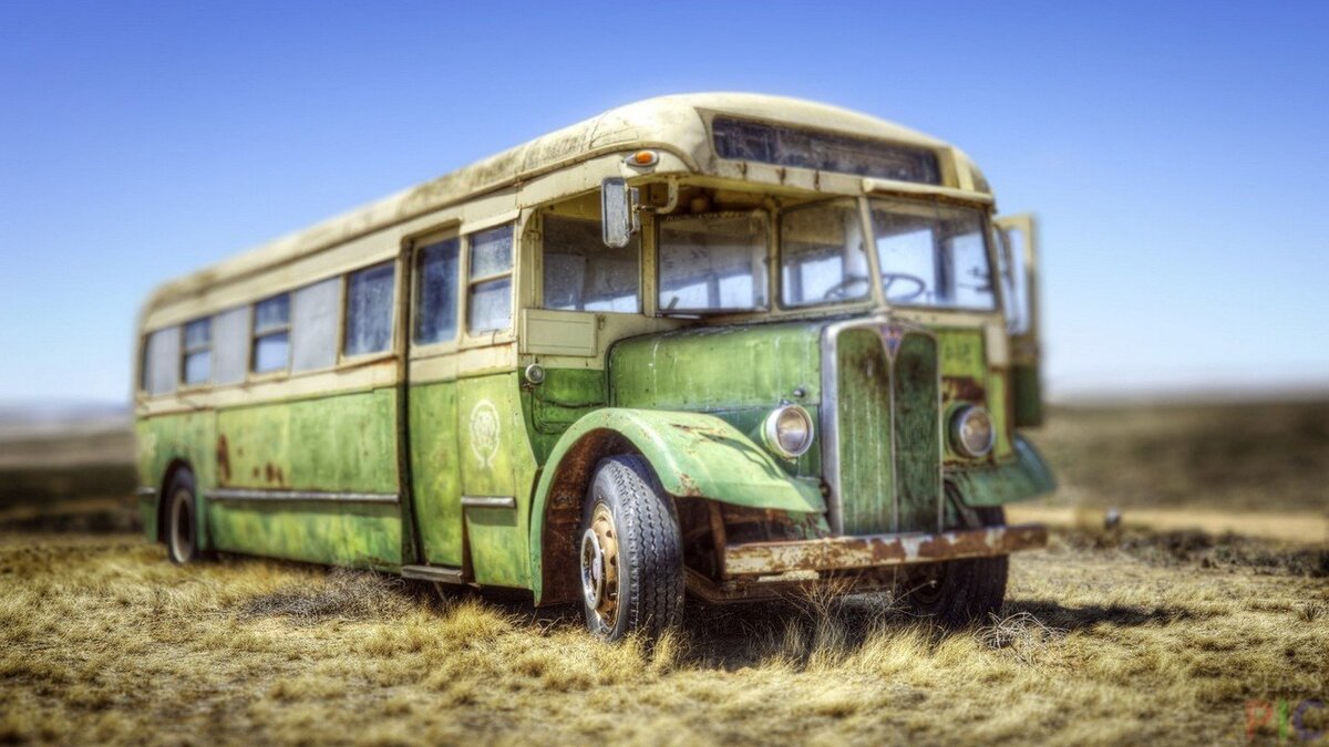 Картинка из сети