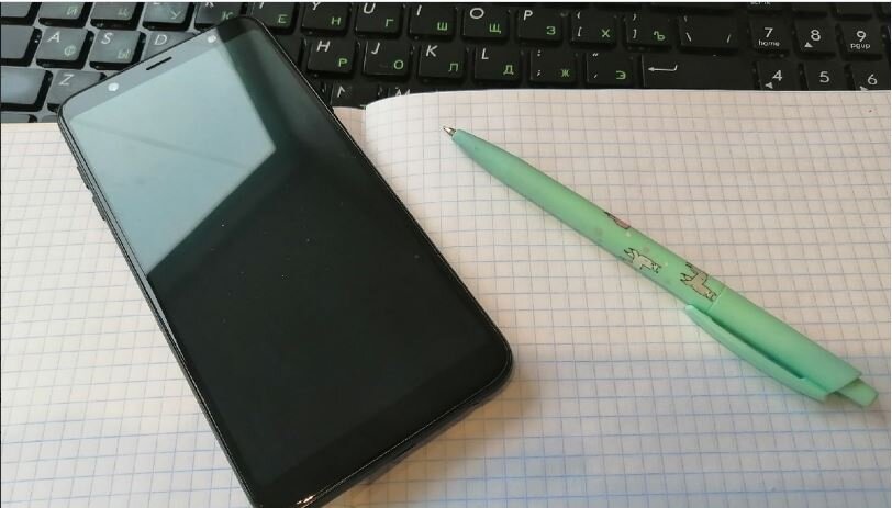 Фото: Антон Садчиков.