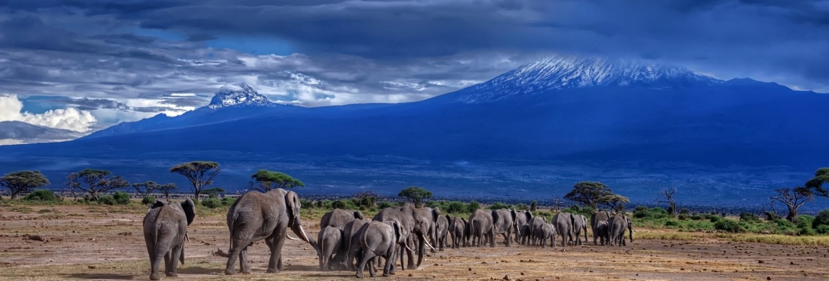 Картинка из интернета