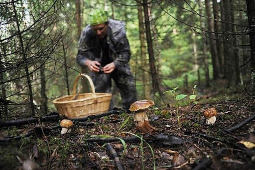 фото взято из открытых источников
