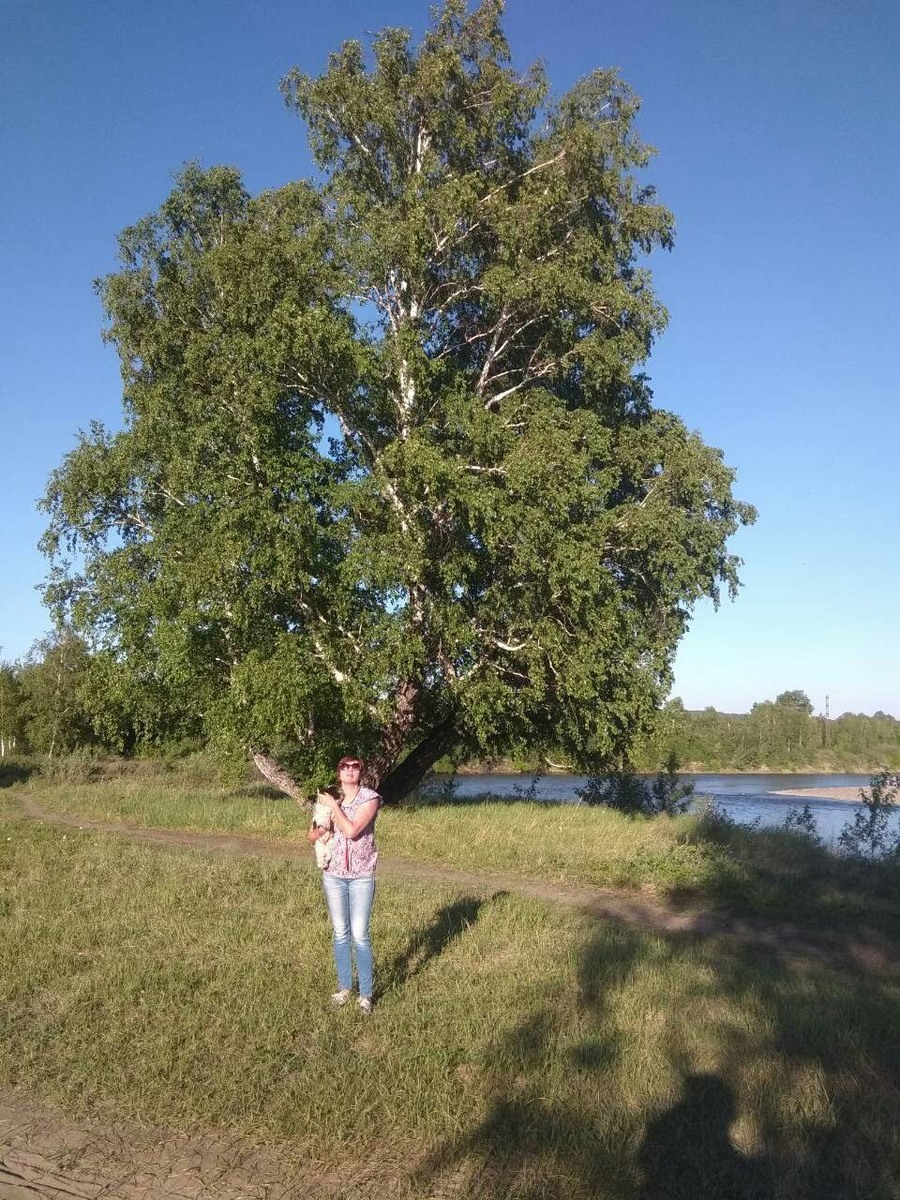 Я на острове у столетнего дерева