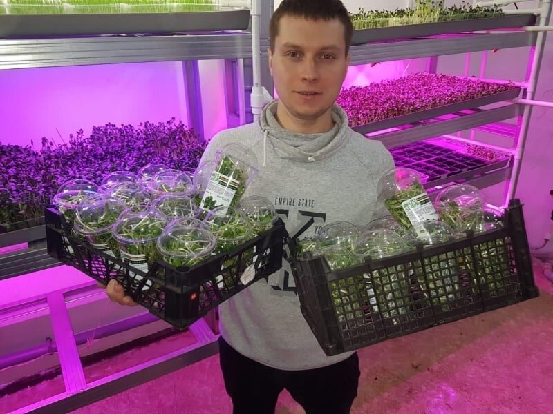 Владимир Шатохин городской фермер