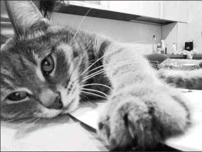 За ошибки нужно платить человек...