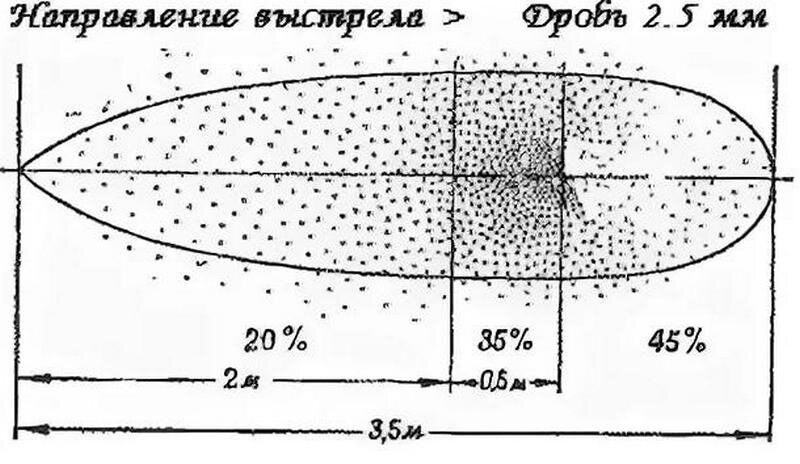 Длина выстрела. Диаметр дробового снопа 12 калибра. Разлет дроби 12 калибра. Дробовой сноп 12 калибра. Как летит дробь из ружья 12 калибра.