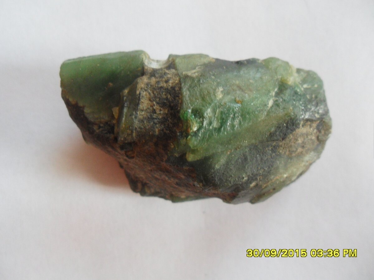 Самоцвет. Фото Л. Плотниковой