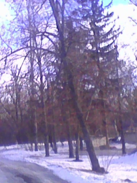 Архангельское .Дорога на "уголок"