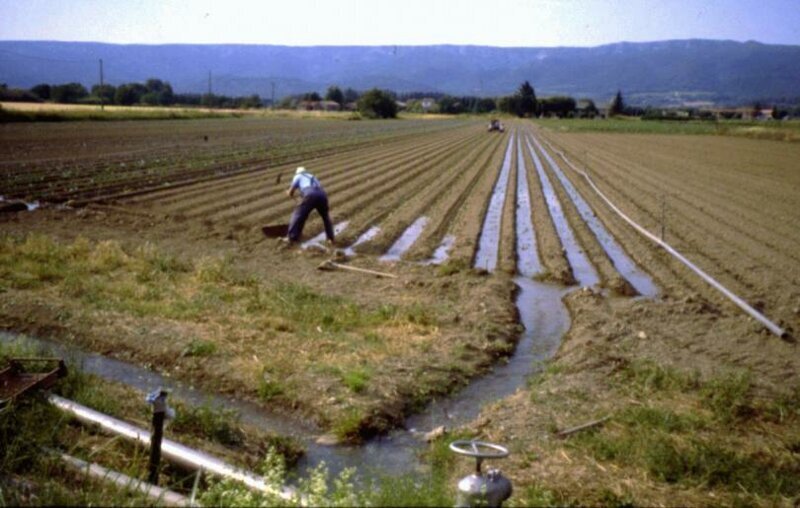 Полив растений. 