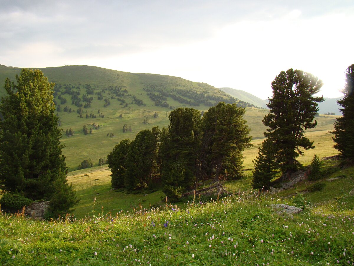 Теректинский хребет, высота 1997 м над у.м.