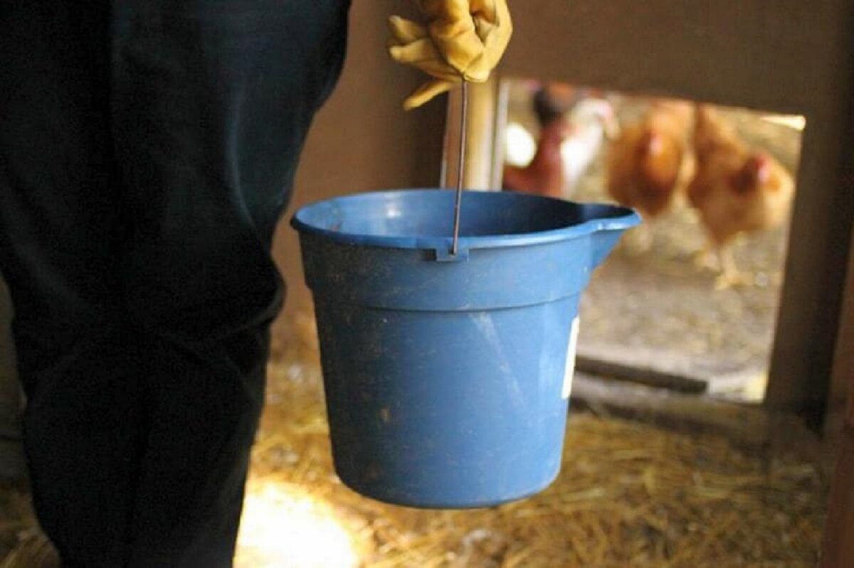 фото из открытых источников