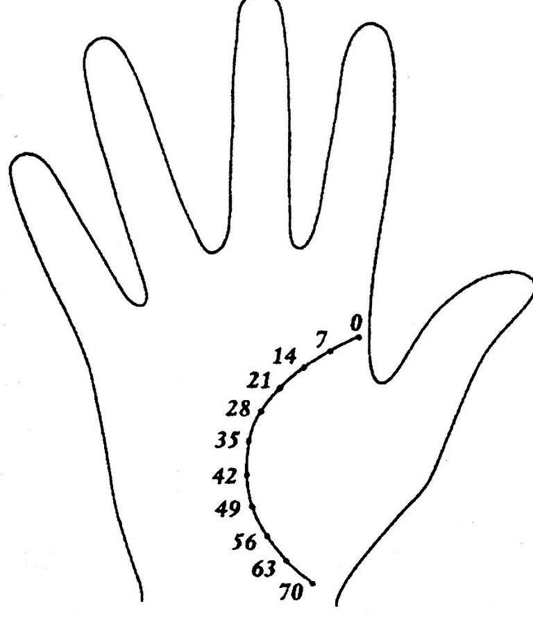 Разветвление на линии жизни. Хиромантия годы на линии жизни. Хиромантия линия жизни по годам. Датировка линии жизни на руке. Хиромантия Возраст на линии жизни.