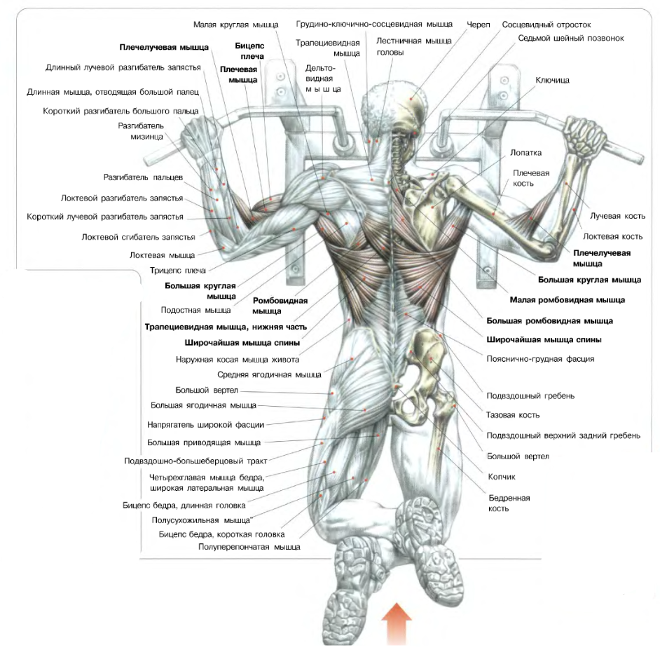 Картинка взята из сервиса Яндекс картинки 