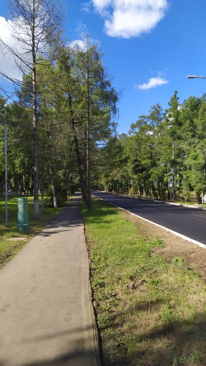 Лиственничная аллея