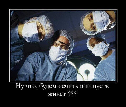 Венгрия на пороге четвертой волны бананофикуса