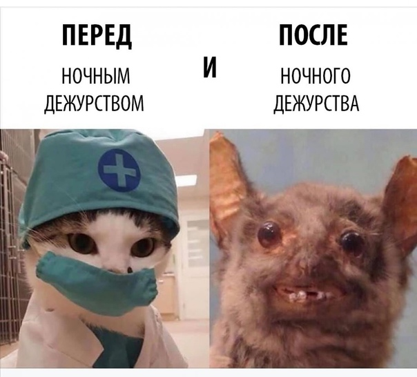 Ночное дежурство картинки