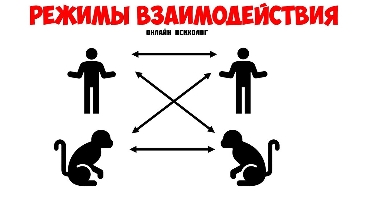 4 уровня взаимодействия в процессе коммуникации: на каком уровне ты?