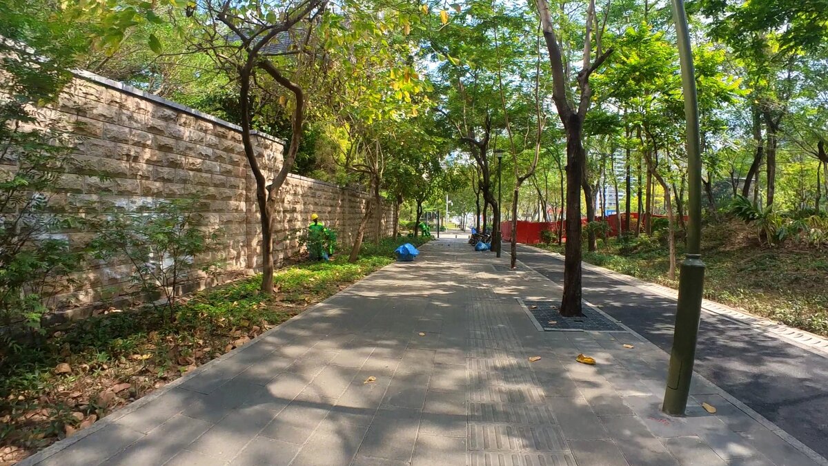 На улицах Шеньчженя