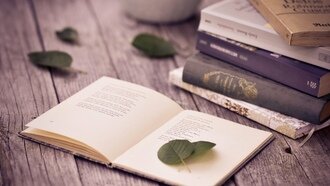 Источник: https://www.look.com.ua/114930-stihi-listja-stranicy-knigi-stol.html
