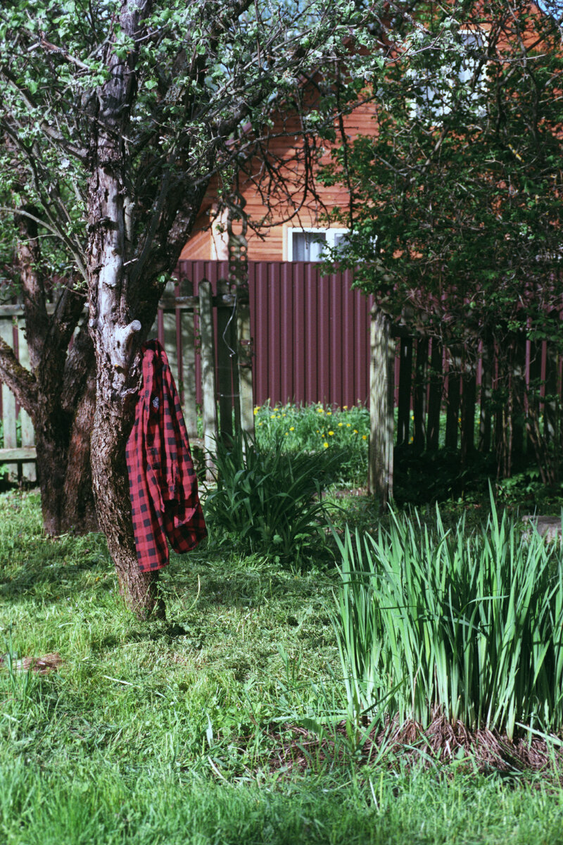 Fujifilm Superia 400