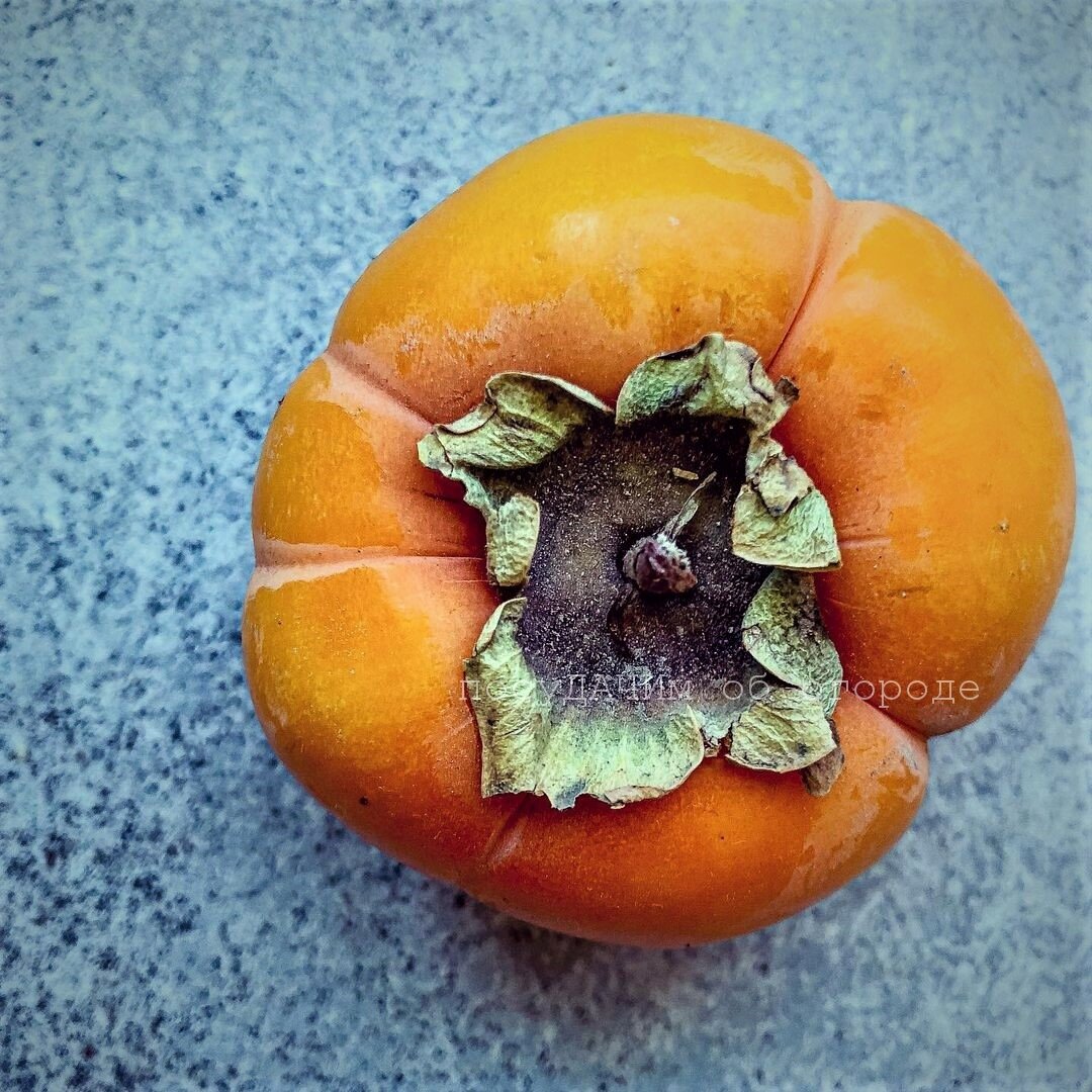 Хурма очень полезна 