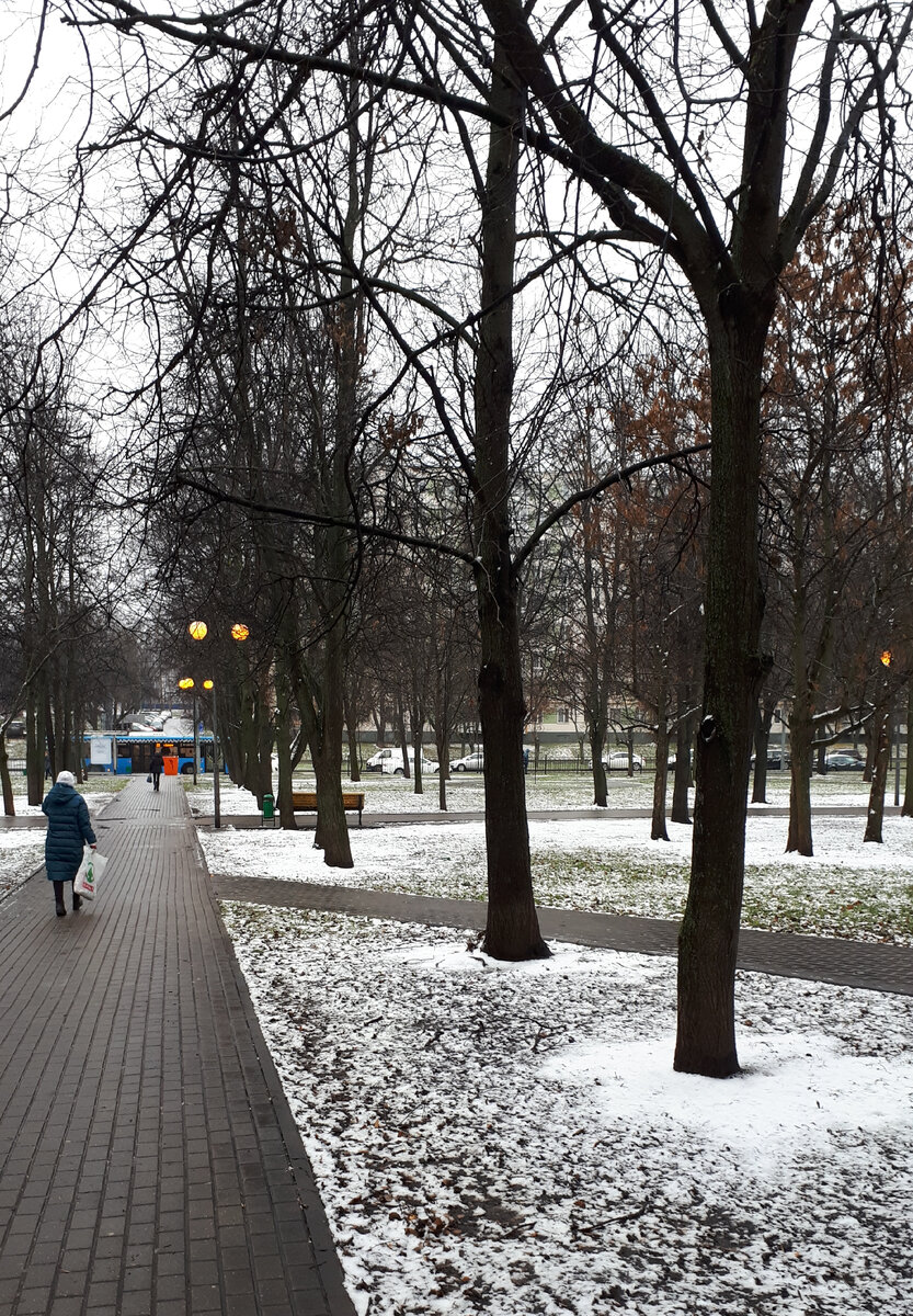 Первый снег в ноябре.