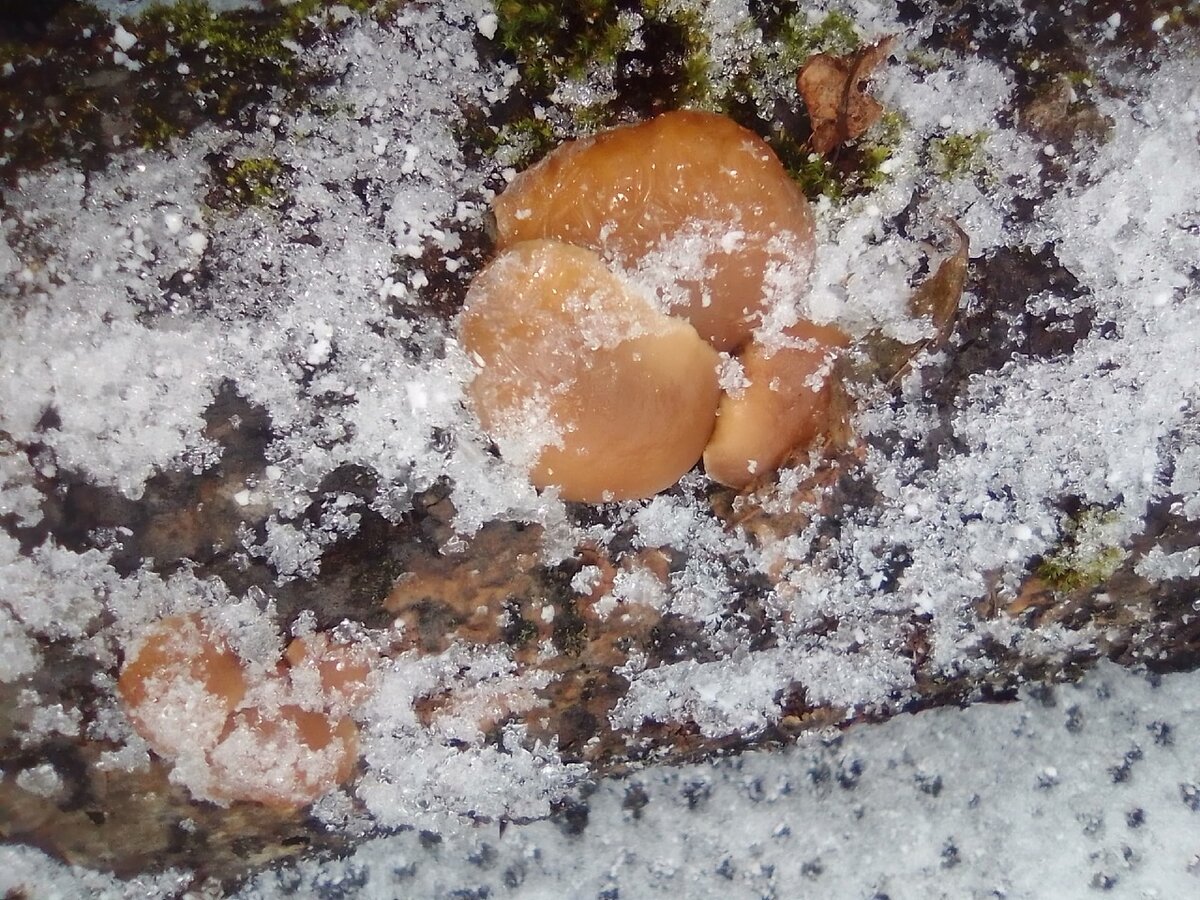 Фото: Андрей Писарев